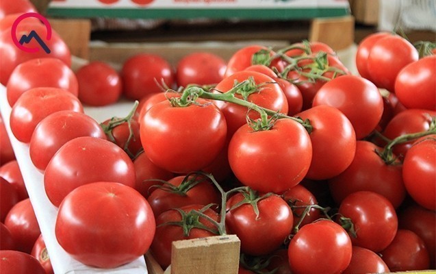 Pomidorun qiymətində ciddi ucuzlaşma - Video