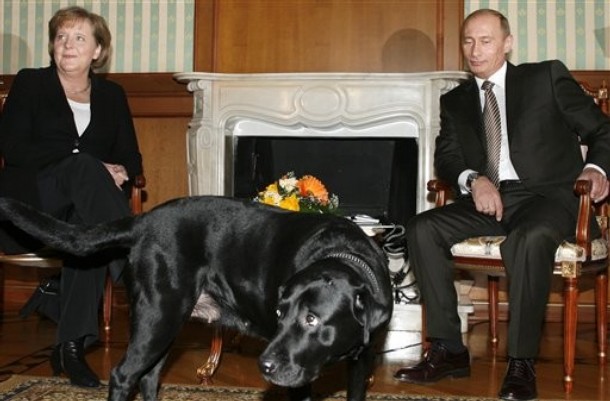 Rusiya liderinin dördayaqlı dostları... - Fotolar