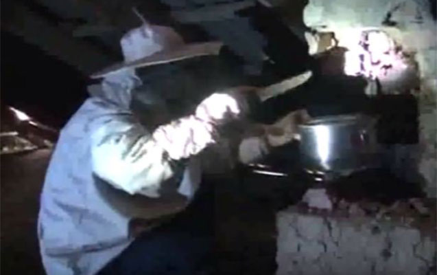 Tüstü bacasından kilolarla bal çıxdı - Video