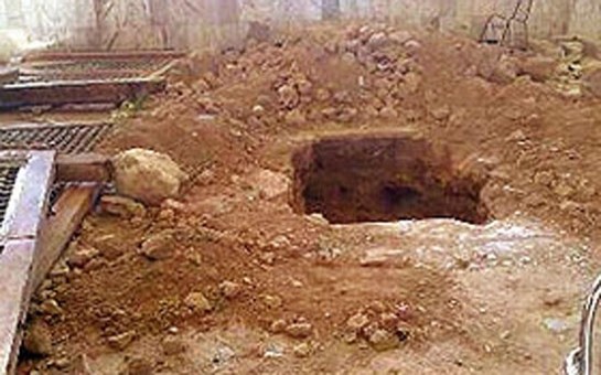 qurd-yagi-ucun-qebri-acib-meyiti-axtarir-