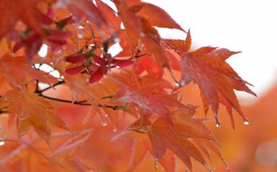 heftenin-ilk-gunu-hava-yagmursuz-olacaq