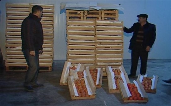 azerbaycanda-sahibkarlara-sarsidici-zerbe-
