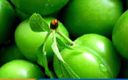 qizildan-qiymetli-alca-