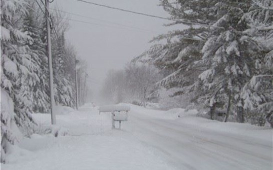 bakida-qadin-donaraq-oldu