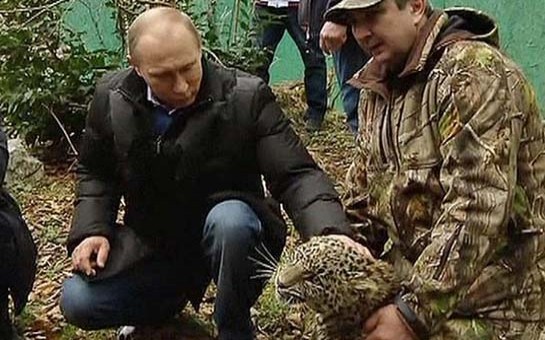 putin-bebirin-qefesine-girdi-