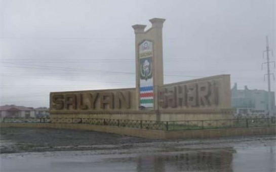 salyanda-dehset