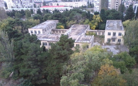 mehriban-eliyevadan-gizledilen-usaq-bagcasi-
