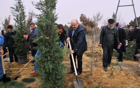 icra-bascisi-agac-ekir-
