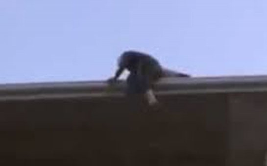 yasli-qadin-intihara-cehd-etdi