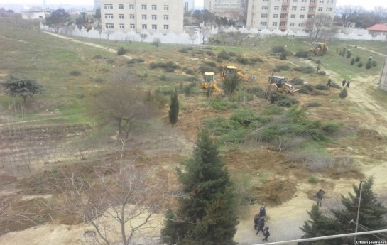 agaclari-kesib-adini-abadliq-qoydular-