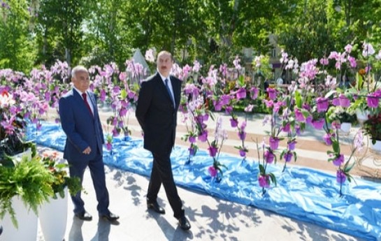 gul-bayramina-hazirliq-basladi