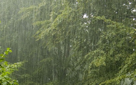 sabah-yagis-gozlenilir