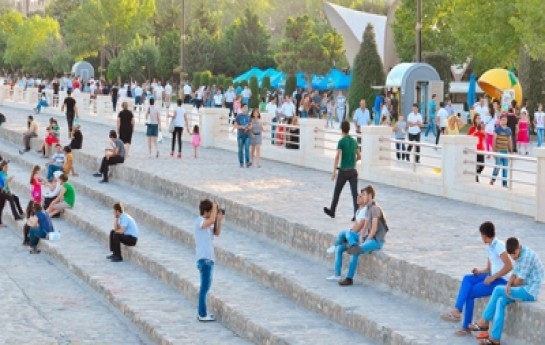 saqqiz-temizleyen-briqada-