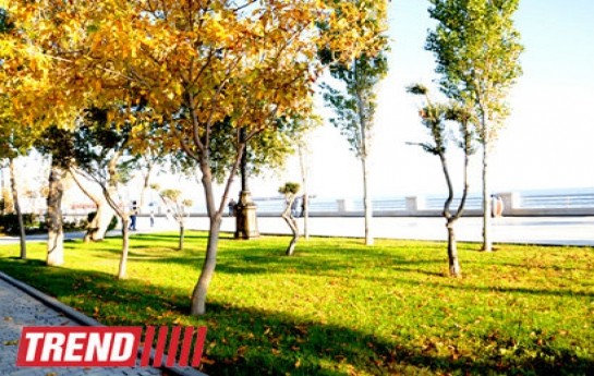 bakida-piknik-qadagandir