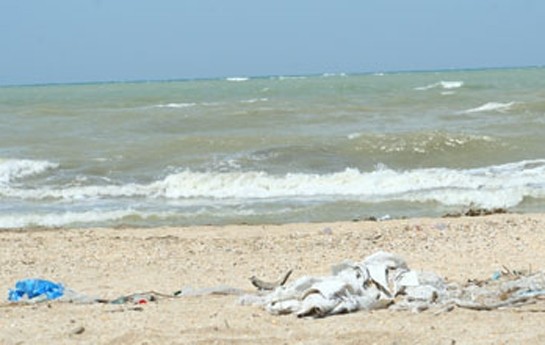 sahibkarlar-natemiz-cimerlikleri-bize-reva-bilir-