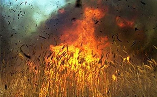 belediyye-erazisi-yandi