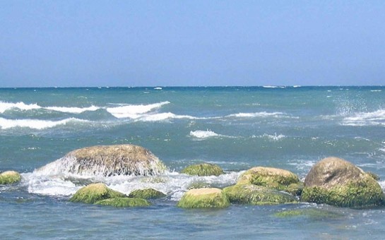 38-il-denizde-gezdi-indi-eve-mehkumdur-