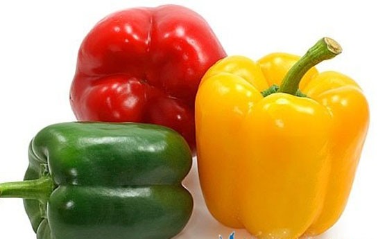 xercengin-ve-insultun-dermani-