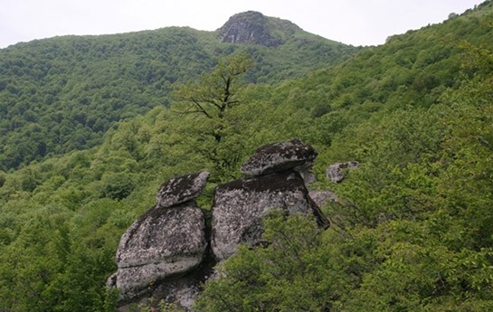 hirkan-milli-parkinda-yangin-tam-sondurulub