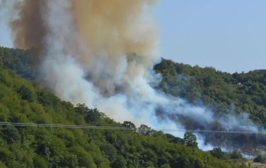zaqatala-tebiet-qorugundaki-yangindan-