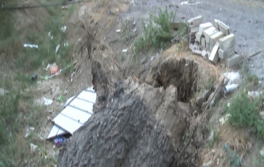 qirmizi-kitaba-dusen-agac-asdi