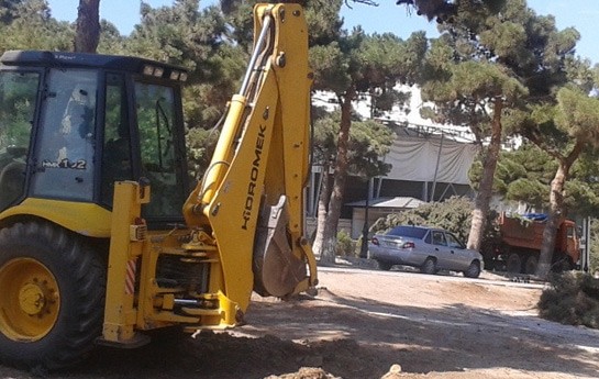 bakida-nadir-agaclarin-novbeti-soyqirimi-