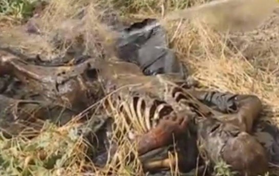 taninmaz-halda-meyit-tapildi-