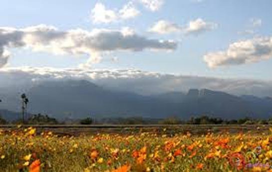 sentyabr-ayina-olan-hava-