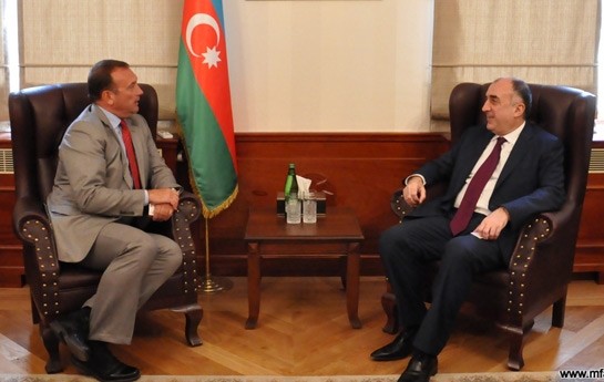 memmedyarov-unicef-in-yeni-rehberi-ile-gorusdu