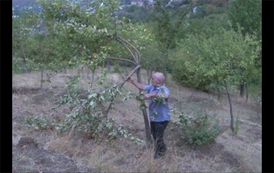 ayi-eve-hucum-etdi-