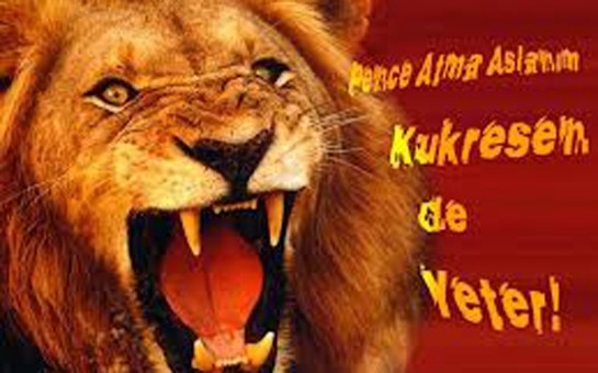 aslan-ucun-yeni-ov-movsumu