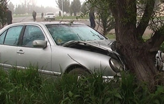 mercedes-agaca-cirpildi-