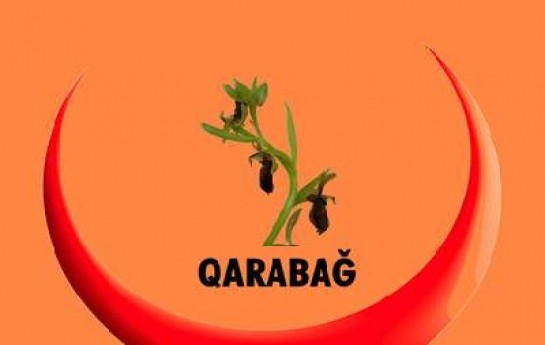 qarabag-bloku-avtoqezalardan-narahatdir