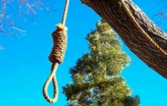 zeytunluqda-kisi-ozunu-agacdan-asdi