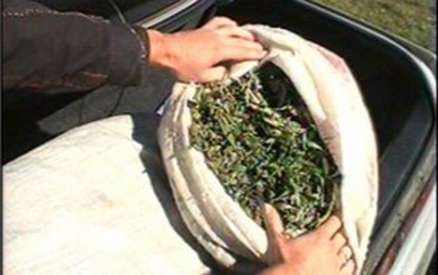 10-kq-marixuana-satmaq-istedi-