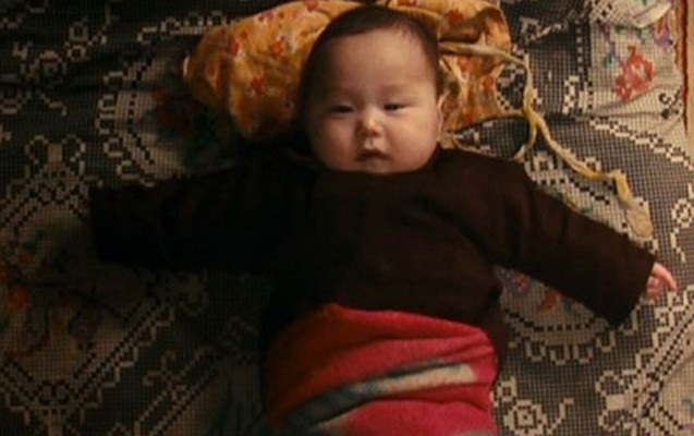 yanvarin-24-de-dogulan-usaqlara-ev-verilecek