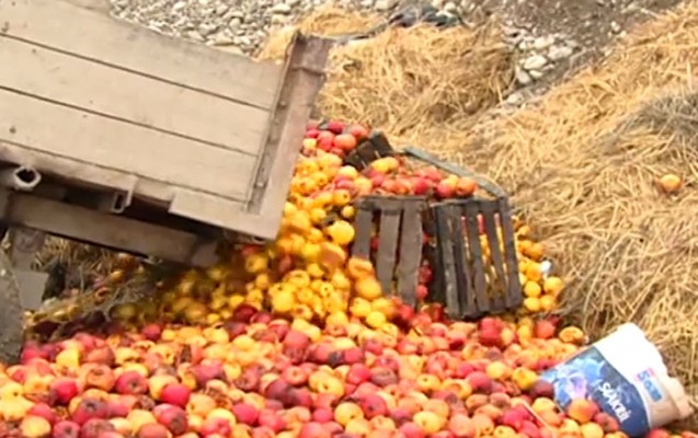 qubada-almani-caya-tokurler-