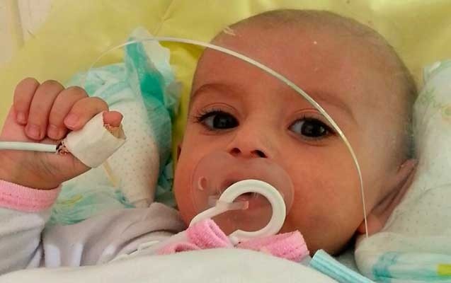 bir-korpenin-heyati-ucun