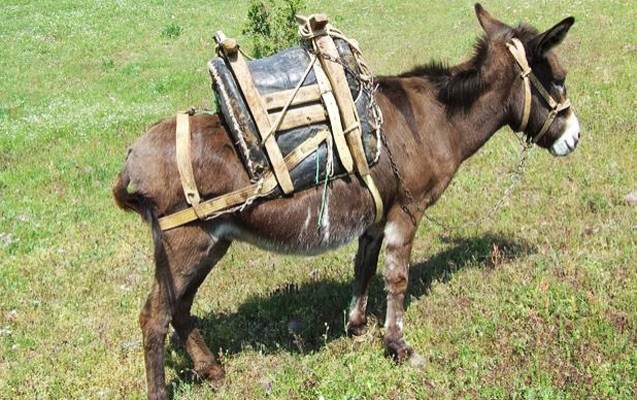 sevgililer-gunu-hediyyesi-