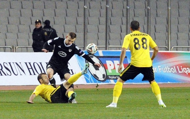 qarabagin-qelebesi-