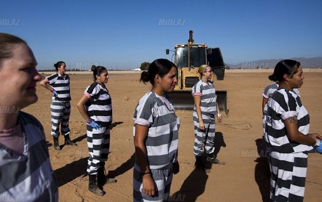 hebsxanadaki-analara-