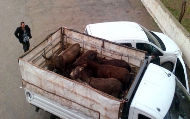 millete-essek-eti-yedirdenler