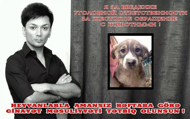 faiq-agayev-itlerin-yandirilmasindan-danisdi