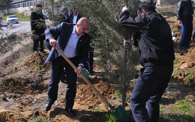 rayonda-agacekme-aksiyasi-kecirilib-