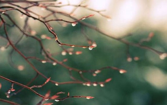 sabah-fasilelerle-yagis-yagacaq