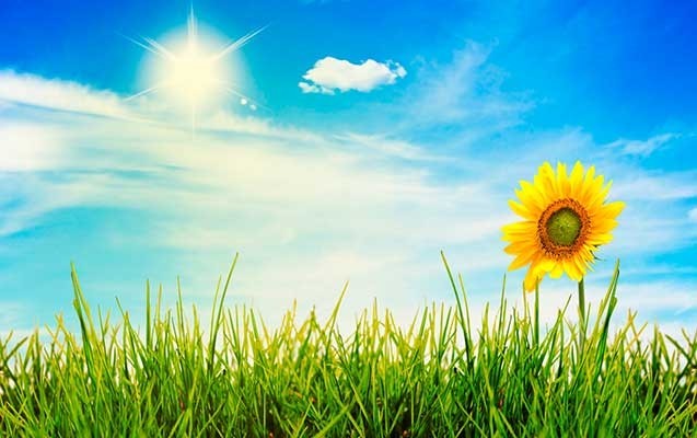 aprelde-hava-nece-olacaq-