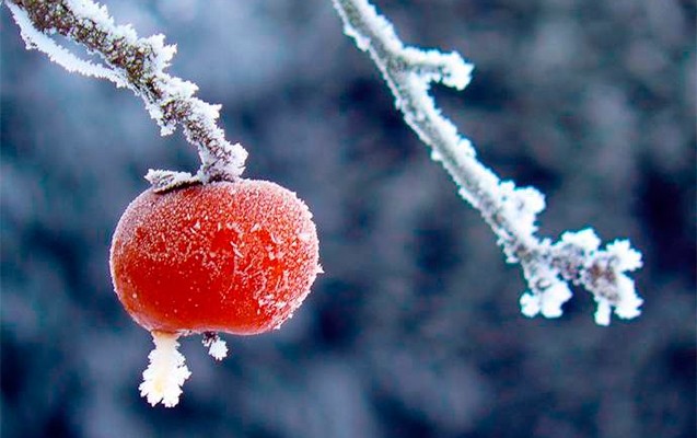 qar-qitliq-yarada-biler-