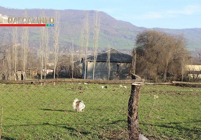azerbaycanda-bir-kend-var-adi-xarosa-