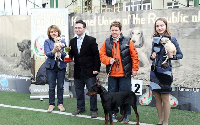 gencede-it-sergisi-kecirildi-