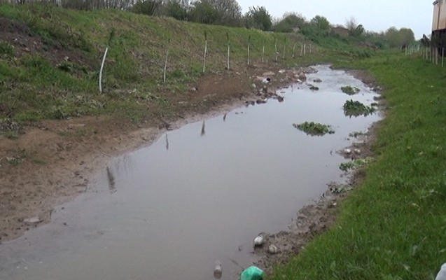 celilabadda-3-yasli-usaq-boguldu